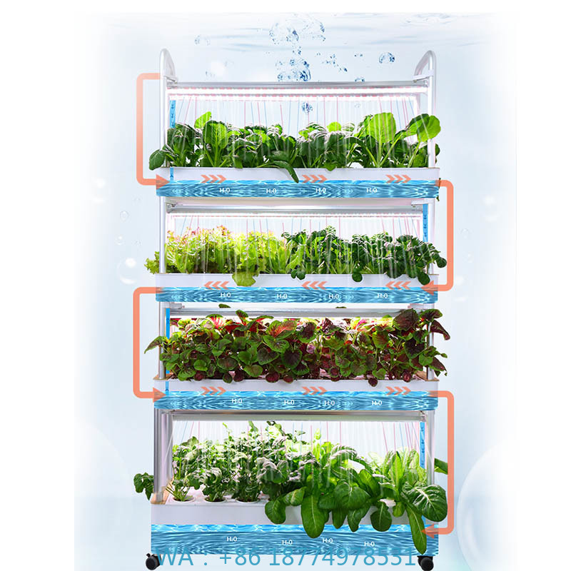 Smart Home Uses - System hydroponiczny do uprawy roślin, inteligentny