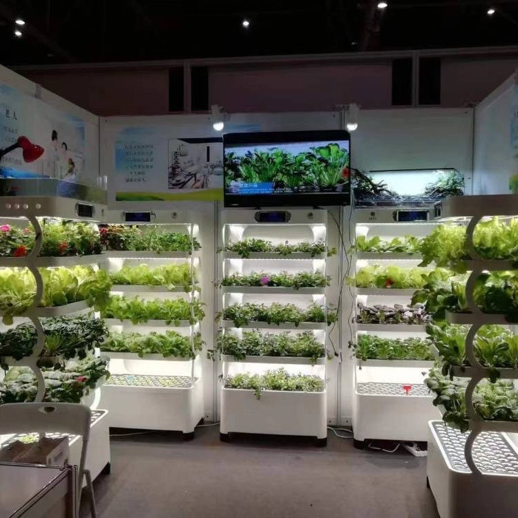 Inteligentny system hydroponic – Smart Home Uses recenzja i cena