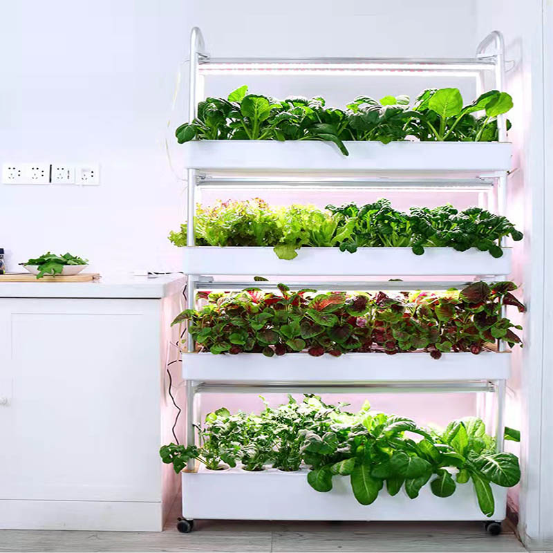 System hydroponiczny do uprawy – Smart Home Uses recenzja i cena